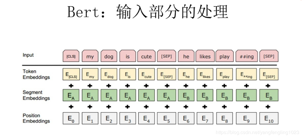 BERT模型的输入部分